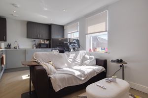 OP Kitchen/Living- click for photo gallery